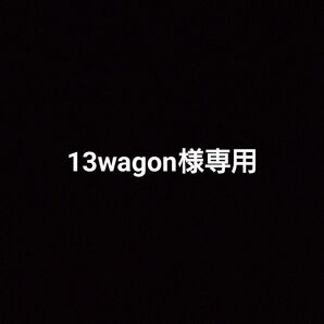 13wagon様専用