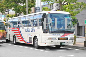 D[ bus photograph ]L version 1 sheets Tokai bus aero bus 