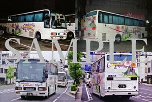 Ｆ【バス写真】L版4枚　両備バス　エアロクイーンM　シンデレラエクスプレス　ルブラン