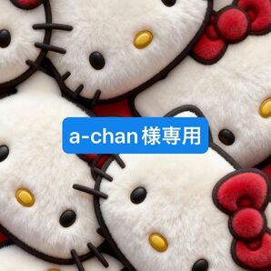 a-chan様専用