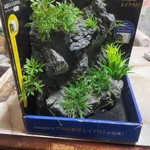 GEX AQUA CANVAS アクアキャンバス ウォール 水草レイアウト