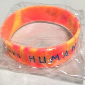 RADWIMPS 人間開花 ラバーバンド