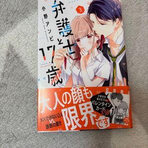 弁護士と17歳 3巻 小野アンビ