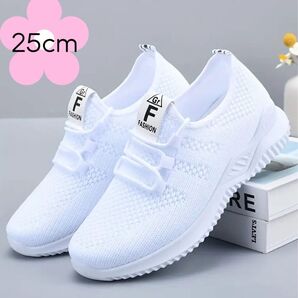 【白 25cm】新品 スニーカー ジム ウォーキング ランニング スポーツ ダンス カジュアル メッシュ 軽量 ナースシューズ