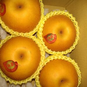 長野県産「南水」梨。約1.5キロ