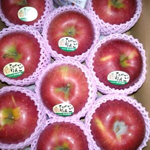 長野県産「シナノスイート」りんご。約3キロ