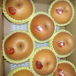 長野県産「南水」梨。約3キロ