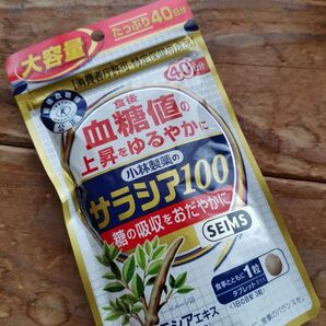 小林製薬 サラシア100 40日分