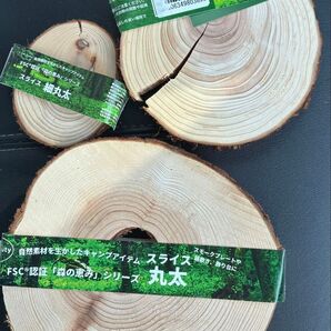 株式会社光大 FSC 森のめぐみ スライス丸太 三サイズまとめて