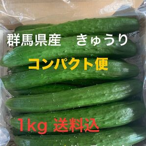 無言 評価しない方 お断り! 群馬県産 朝採り ハウス栽培 きゅうり1キロ送料込 即購入可 日付指定不可