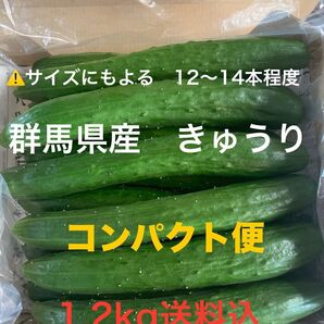 無言 評価しない方 お断り! 群馬県産 朝採り ハウス栽培 きゅうり1.2キロ送料込 即購入可 日付指定不可