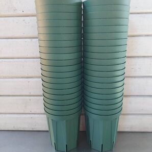 植物の根張りが違う!兼弥産業 スリット鉢CSM-120L(ロングタイプ) 4号 40P