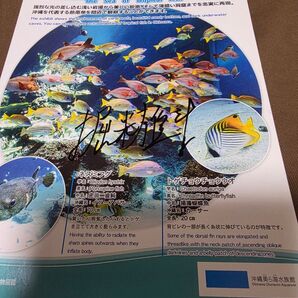 堀米雄斗 出身中学校 修学旅行の時に書いてもらったサイン 中学校2年生