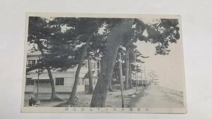 戦前絵葉書　大野濱公園ト千鳥温浴場　エンタイヤ