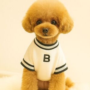 新品 犬服 おしゃれトレーナー ホワイト Sサイズ ホワイト