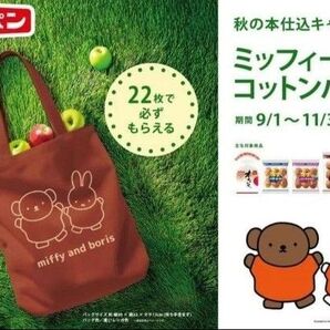 2025 フジパン ミッフィー コットンバッグ