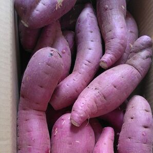 熊本産紅はるか20キロ