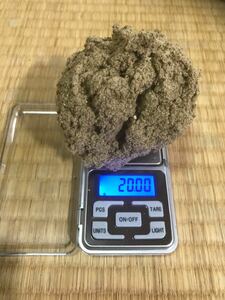 お灸　もぐさ20g