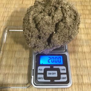 お灸 もぐさ20g