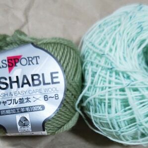 PASSPORT WASHABLE ウォッシャブル並太 &ミントグリーン中細2個セット