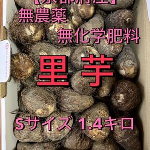 農家直送!里芋Sサイズ1.4キロ 無農薬無化学肥料栽培