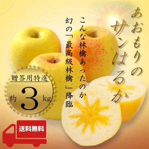 " サンはるか "【青森県産りんご3kg】【産地直送】【即購入OK】【送料無料】贈答用 りんご リンゴ 林檎