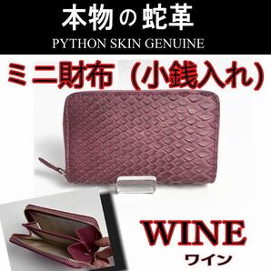 822WIN パイソン コンパクト財布 小銭入れ ワイン 新品