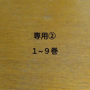 ちぃ様専用②■どうせ泣くなら恋がいい