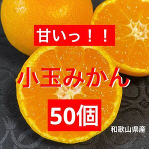 甘いっ!! 数量限定 小玉みかん 果物 旬