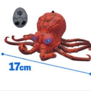 赤外線コントロール オクトパス
