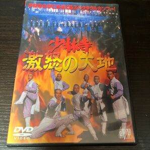 少林寺 激怒の大地 DVD カンフー 映画 アクション