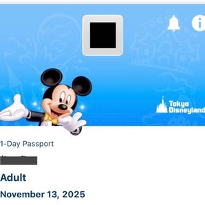 ディズニーオンラインショッピング枠