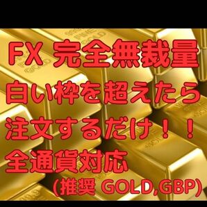 FX手法|無裁量、注文する場所がすぐわかるFX手法|白い枠を超えたら注文するだけ!億トレーダーの手法を完全公開!