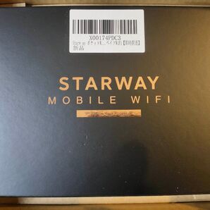 モバイルルーター SIMフリー 国内100GB付き 365日間ポケットWiFi