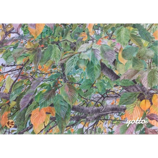 色鉛筆画「 彩葉 」A4・額付き◇◆手描き◇原画◆風景画◇◆yotto◇