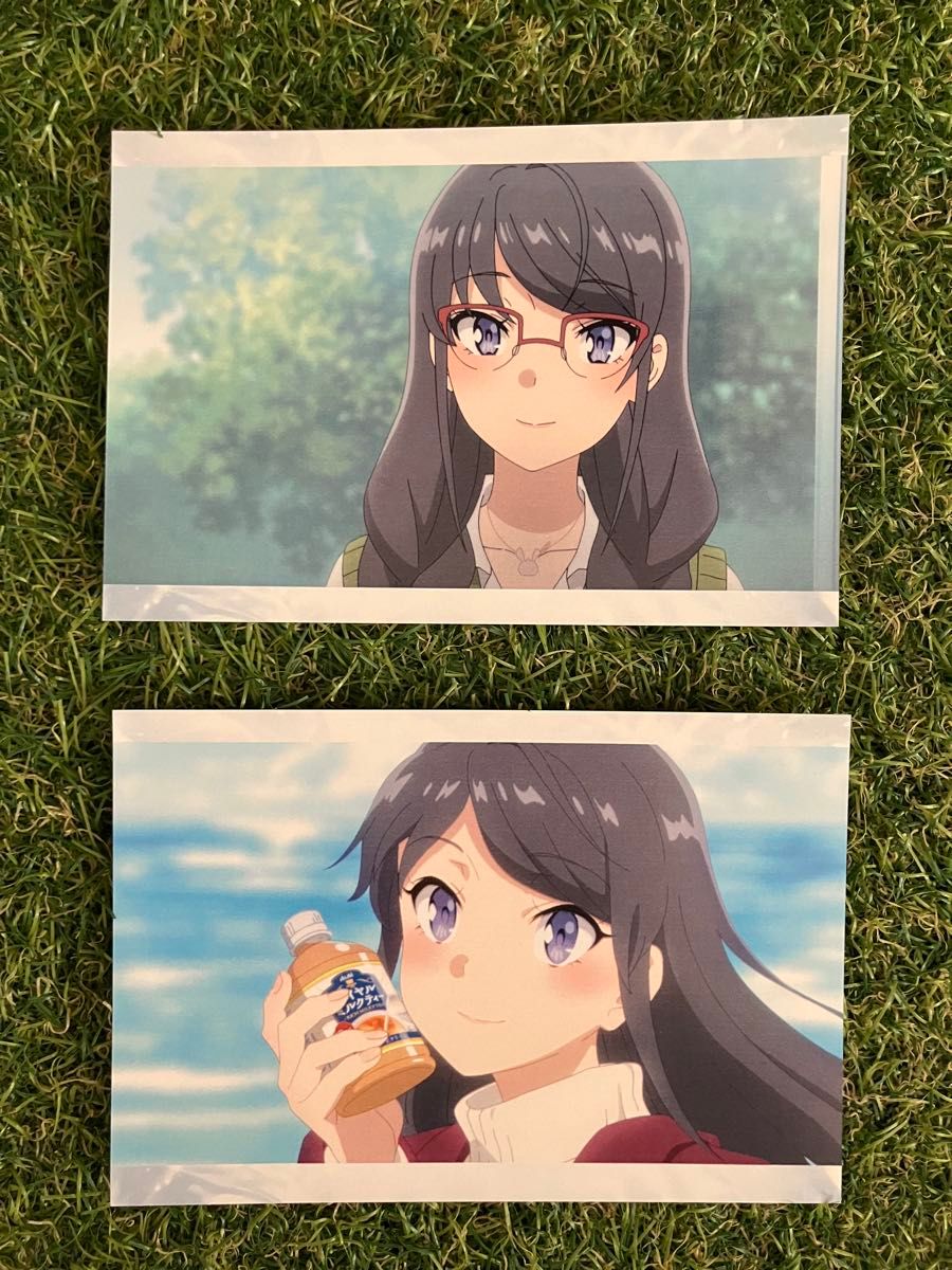 青春ブタ野郎 八景島シーパラダイスコラボ 入場特典 場面写カード 美東