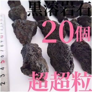 【希少】黒溶岩石 20個 【超超粒】☆アクアリウム、テラリウム、コケリウムに最適