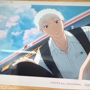 光が死んだ夏 ネップリ