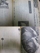 宝島1980阿基米得アナーキー物語4大宮信光76中川五郎えのきどいちろう安西水丸/平岡正明ANO・ANO宗昌植/金泰坤/七字英輔/大西祥一/伊島薫_画像9