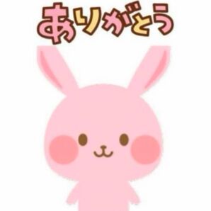 専用 公式写真組み合わせ