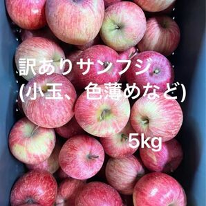 岩手県産 訳ありサンふじ 5kg 小玉 色薄めなど まとめ売り