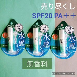 j )【3点】メンソレータム ウォーターリップ 無香料