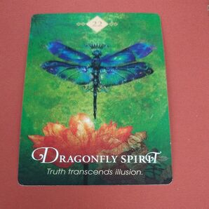 オラクルカード(ハリボー付)