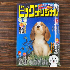 ビッグコミックオリジナル 2025年11月20日号 (小学館)※応募券切り取り済み※