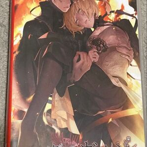 Switch 終遠のヴィルシュ -ErroR:salvation- 通常版 ソフト