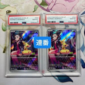 連番 PSA10 マリィのモルペコ ポケモンカードゲーム