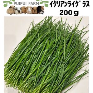 生牧草 イタリアンライグラス 200g プイプイファーム