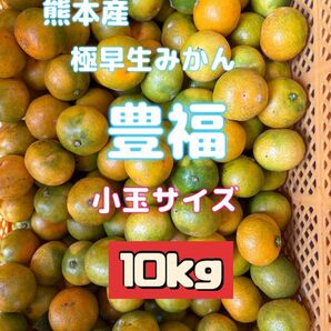 熊本産極早生みかん豊福小玉サイズ10kg