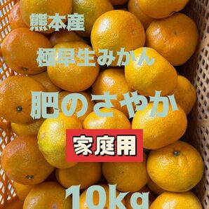 熊本産極早生みかん肥のさやか家庭用混合サイズ10kg
