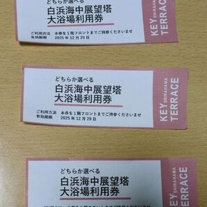 白浜海中展望台 南紀白浜ホテルシーモアキーテラス大浴場利用券 3枚セット
